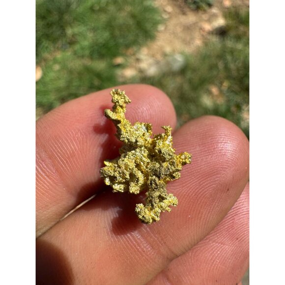 Gold on Quartz Crystal Nugget Specimen - Grass Valley, California - 2.9 - Picture 3 of 8